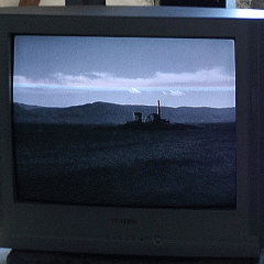 IMG_0331a