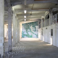 IMG_5150