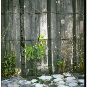 COLLABORATION_Bosnien-2013_181