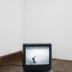 Espantor_4OG_Leonie-Felle_1166