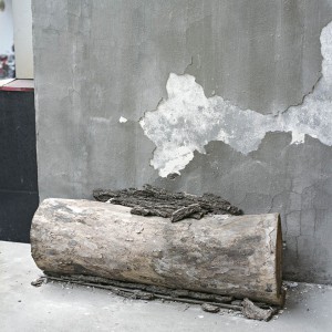 Shanghai_K1_03_Baumstamm_bear-1