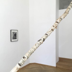 Zeichen-finden_Yutta-Bernhardt-Leonie-Felle_2018_7257