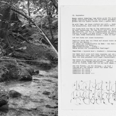 Die-Suche-nach-dem-Finden_Heft-A5_©Leonie-Felle_017