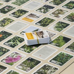 MEMORIES_Fotodoks_2015_002