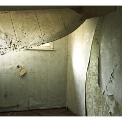 tapetenraum-2_leonie-felle